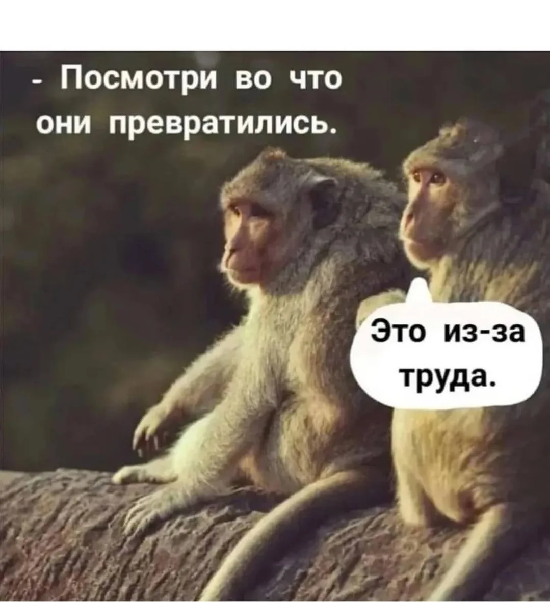 Тётя Фанни