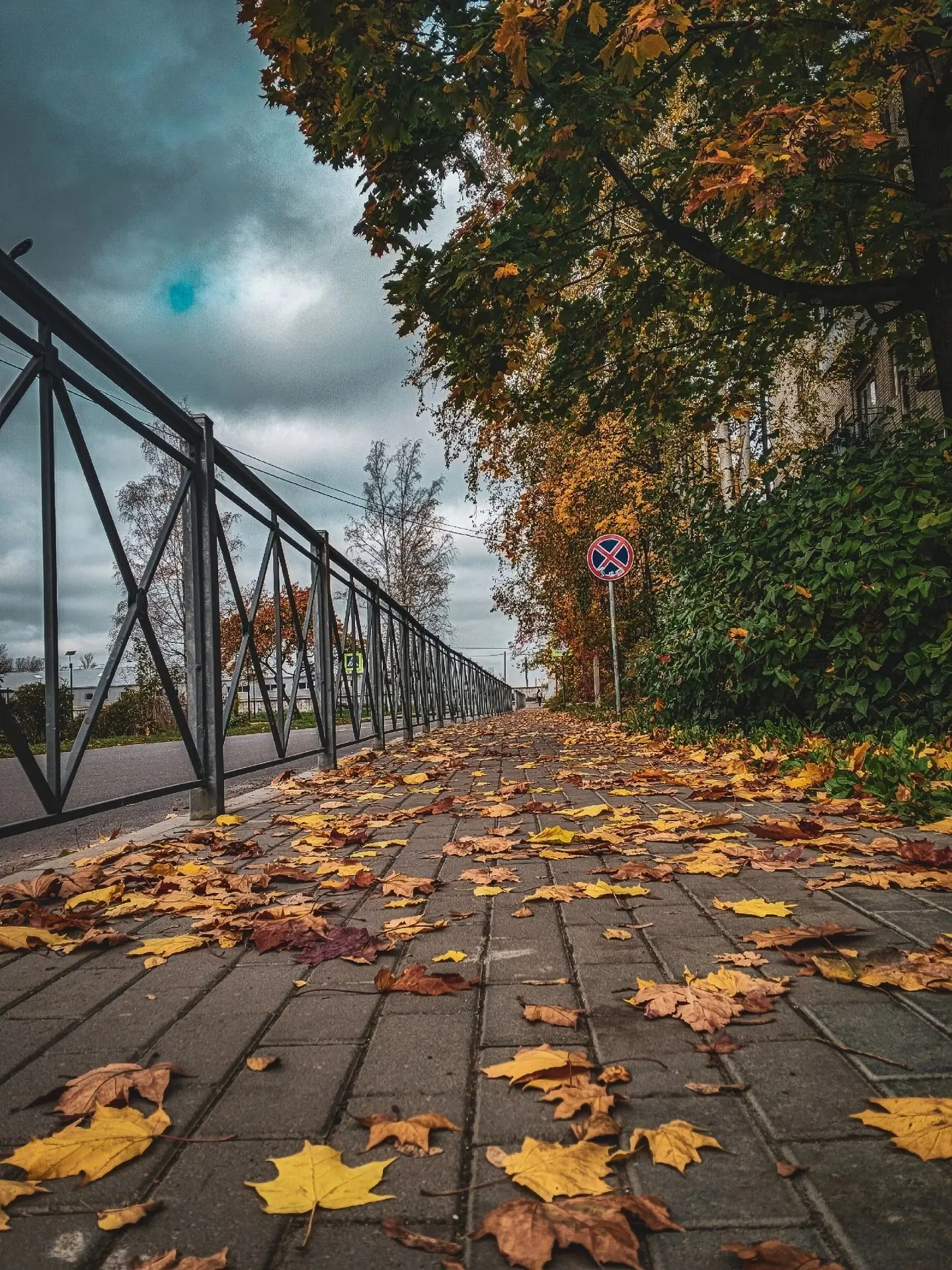 Прекрасного вечера, Отрадное!