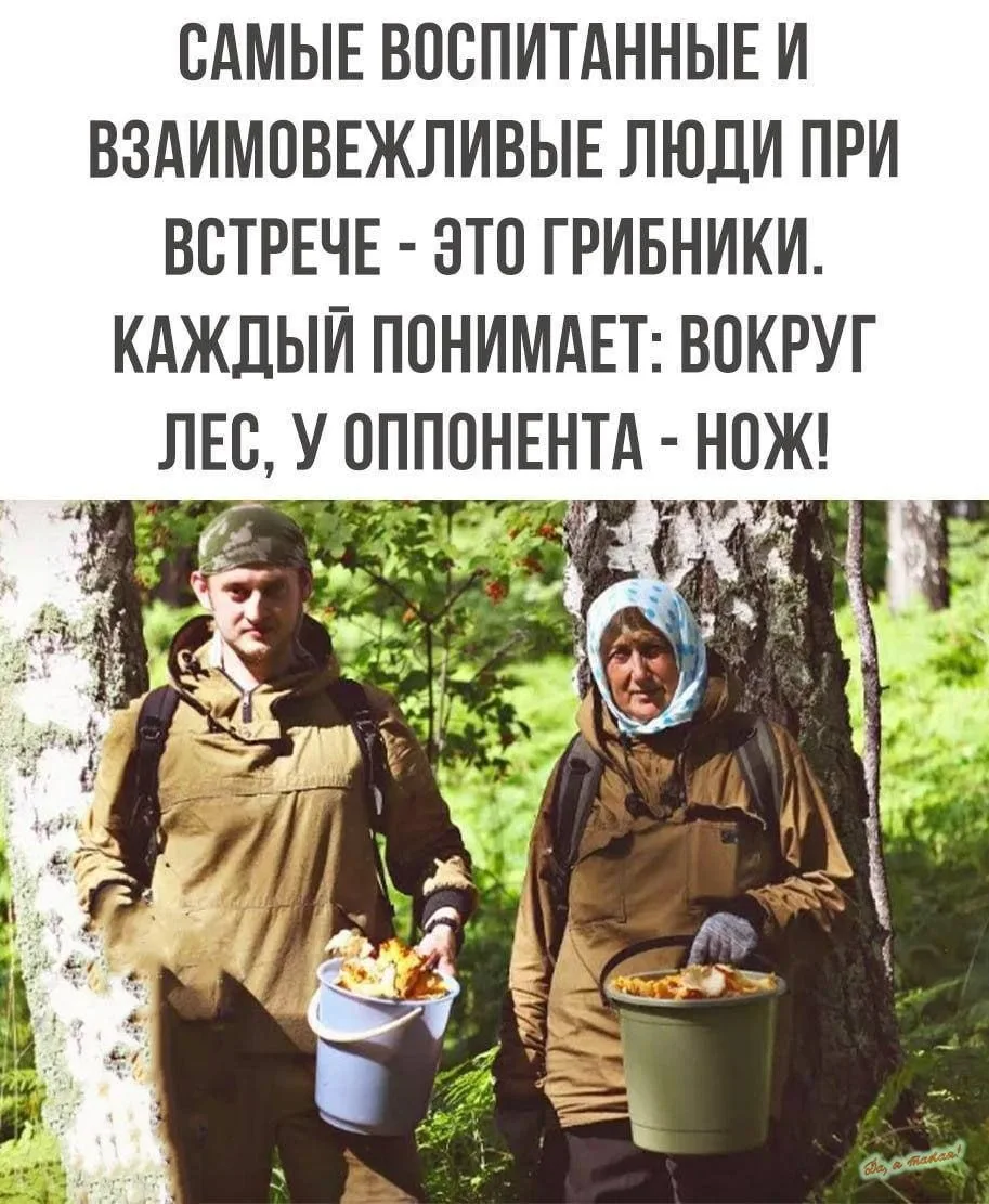 Грибы - дело тонкое