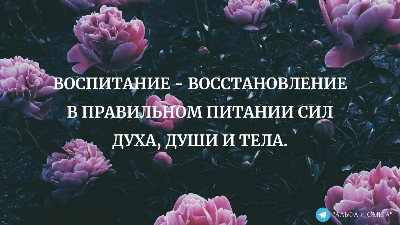 🧠Назначение тела, души и духа: зачем нам это знать?