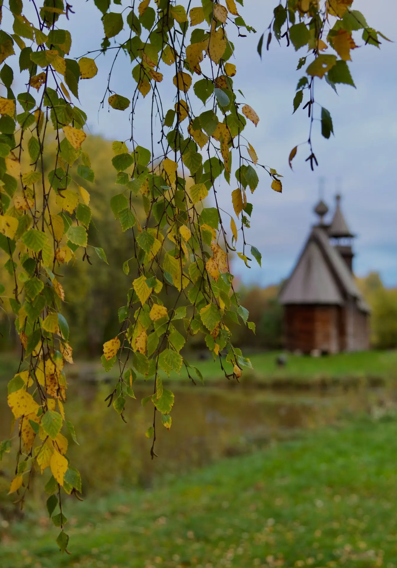Как в сказке 🍂