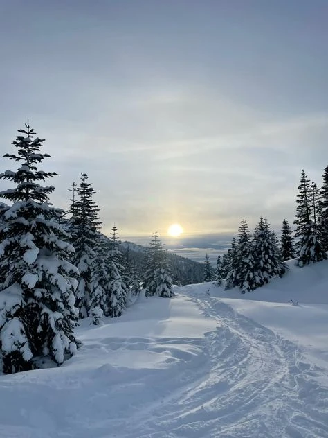 А теперь к народным приметам, узнаем какая будет зима.