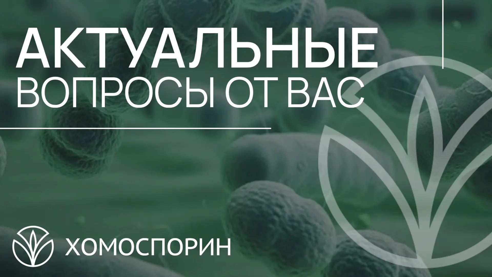 ❓Сейчас сын приболел, из курса остался только 3 этап. Подскажите, надо вводить Хомоспор...