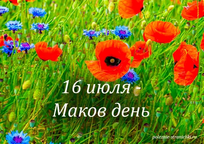 🌺Народные приметы 16 июля в Маков день.

Народные приметы 16 июля в Маков день.
Что не стоит делать