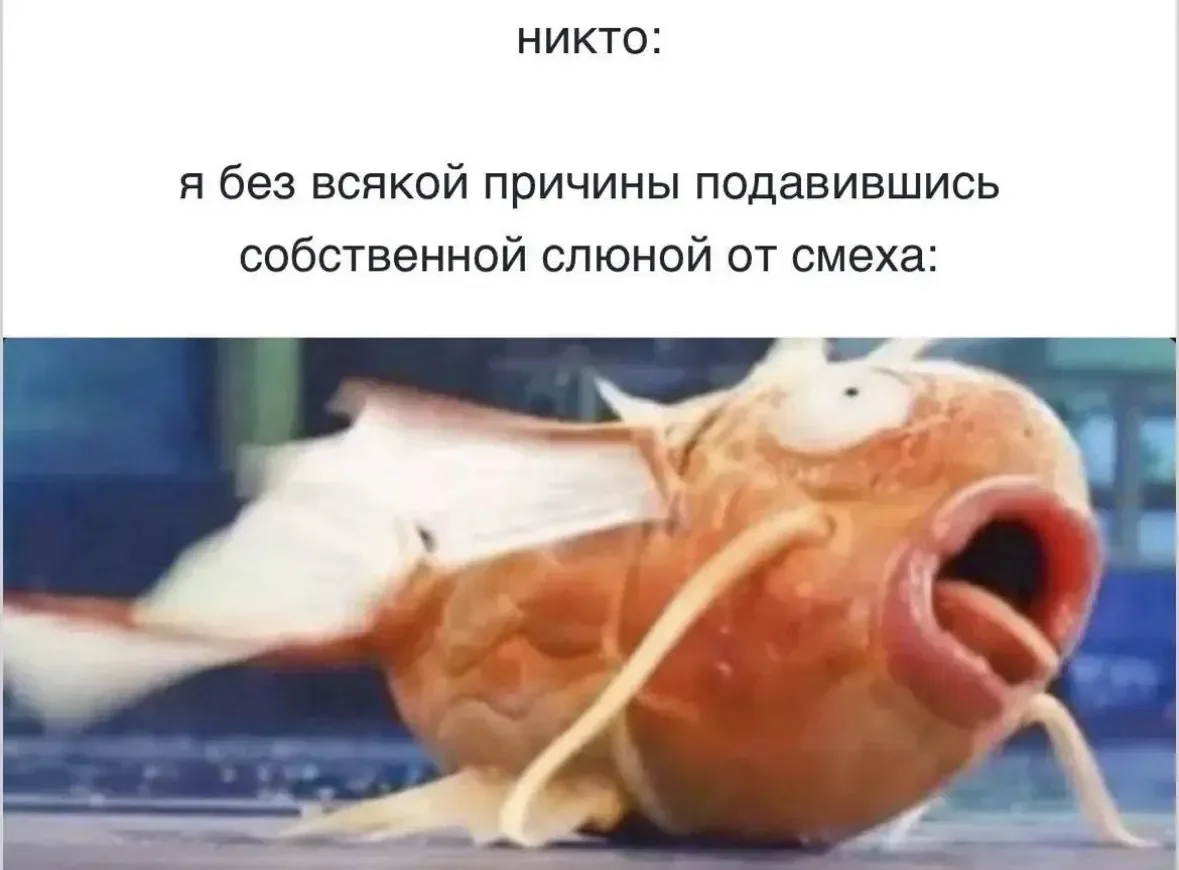 Бывает

🍷Наш бот знакомств - max/ЗНАКОМСТВА