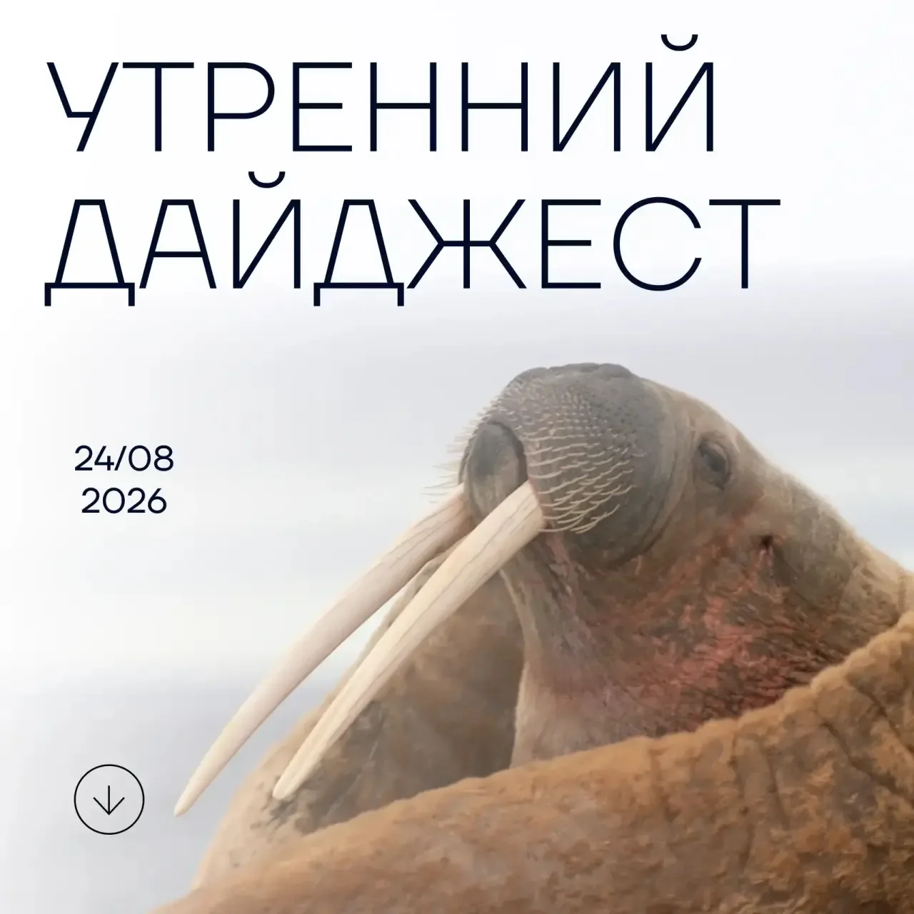 Минэкономразвития прорабатывает новую модель совместного развития территорий
