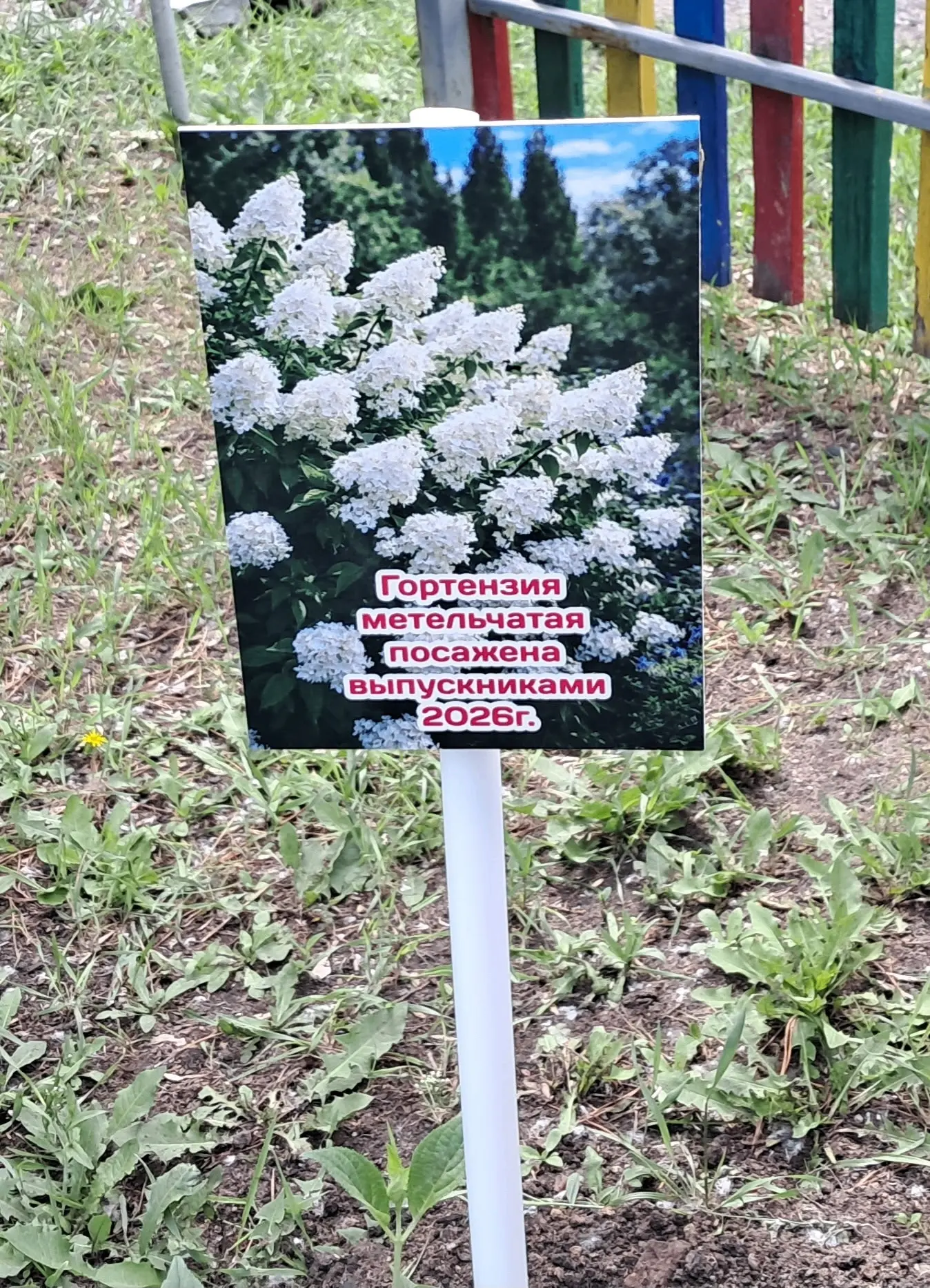 Разные бывают традиции. Добрые, смешные, курьёзные, а в нашем детском саду есть традици...