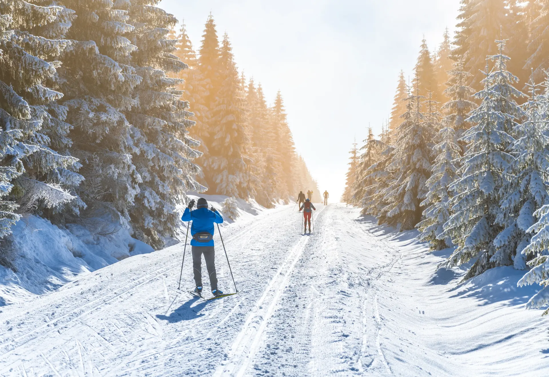 ⛷Новой лыжной трассе в «Лосином острове» быть!