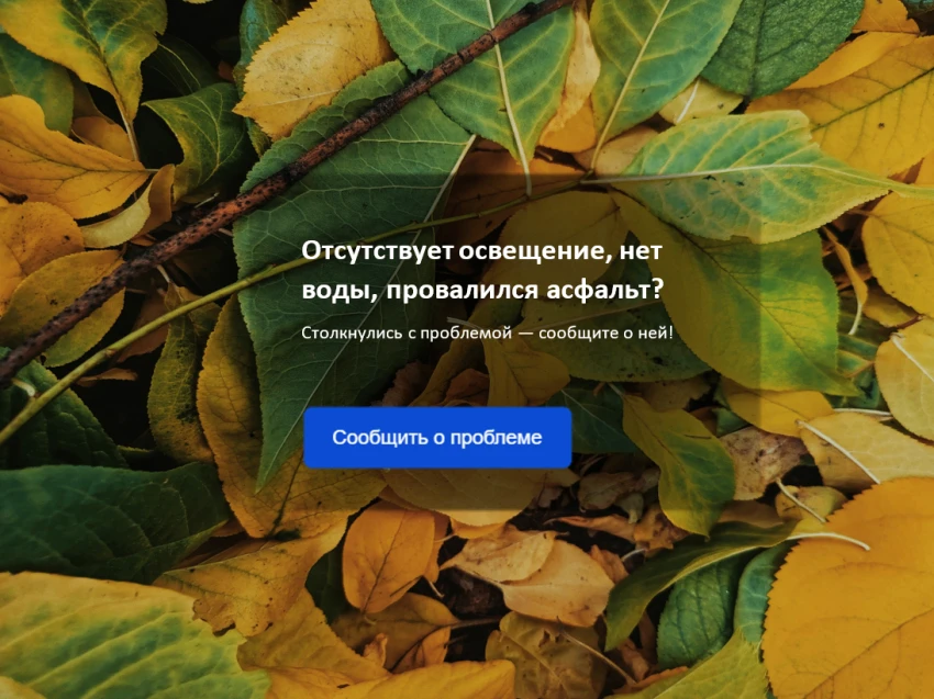 ⚡️ От сигнала до решения: итоги недели на портале обратной связи в Забайкалье