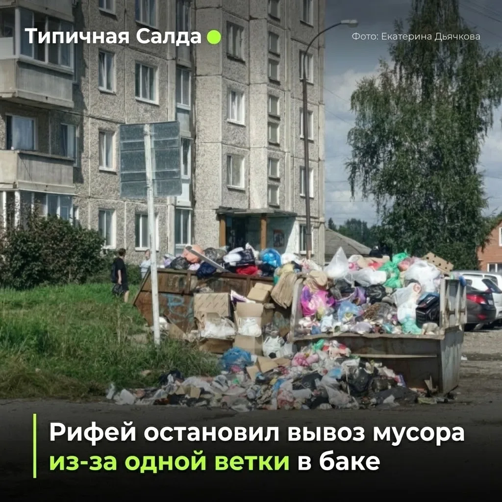 🐀 Крысиный курорт на Фрунзе: как одна неправильная ветка остановила вывоз мусора во вс...
