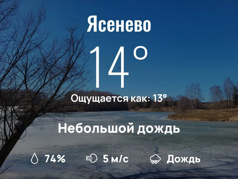 Что с погодой в Ясенево?