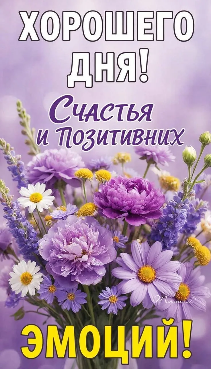 - 🌺 Понравилась открытка — нажмите реакцию и сделайте чей‑то день светлее ❤