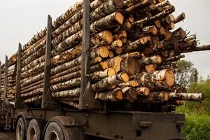 Тверской лес и ярославский картофель отправлены на экспорт