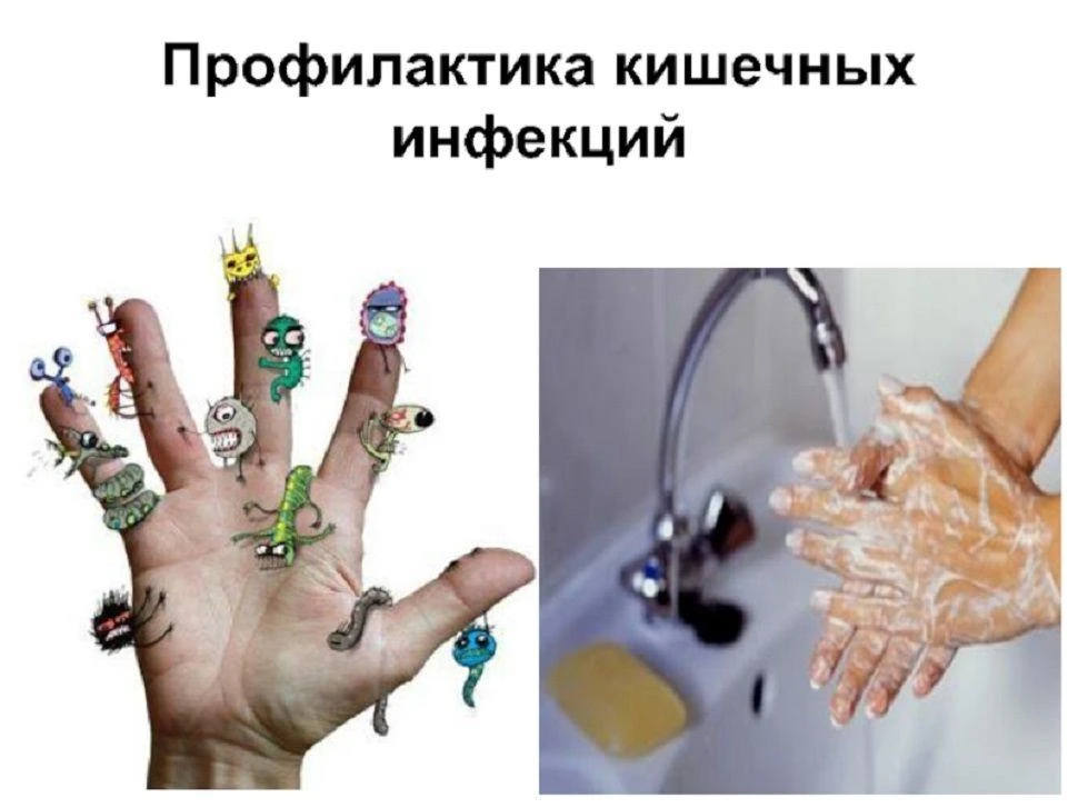 Кишечные инфекции летом
 
Лето — время отпусков, солнца и, к сожалению, повышенного риска кишечных и