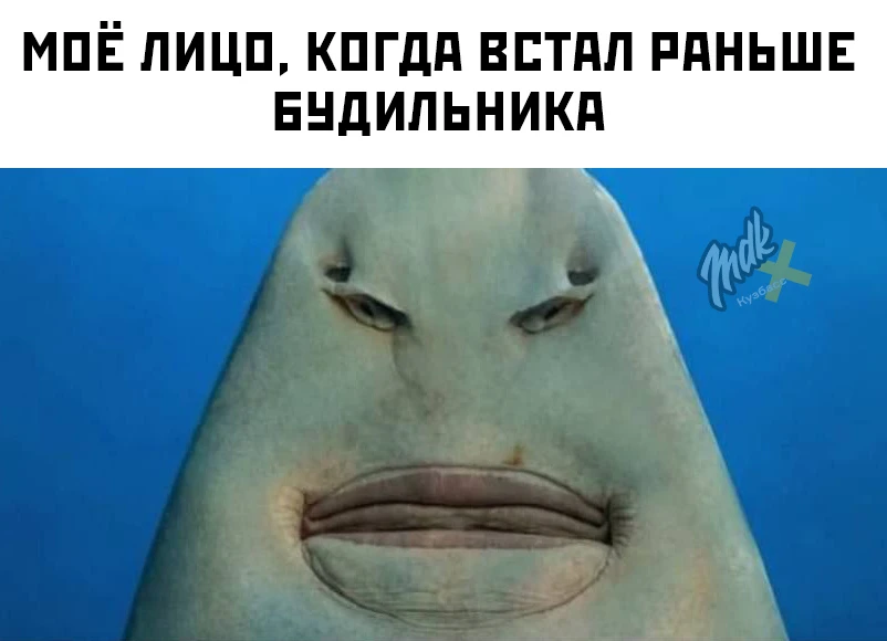 У вас так же?