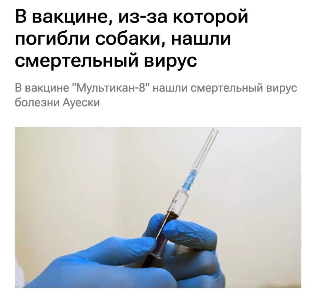 🔴 Россельхознадзор остановил продажу популярной вакцины для собак и кошек «Мультикан-8...