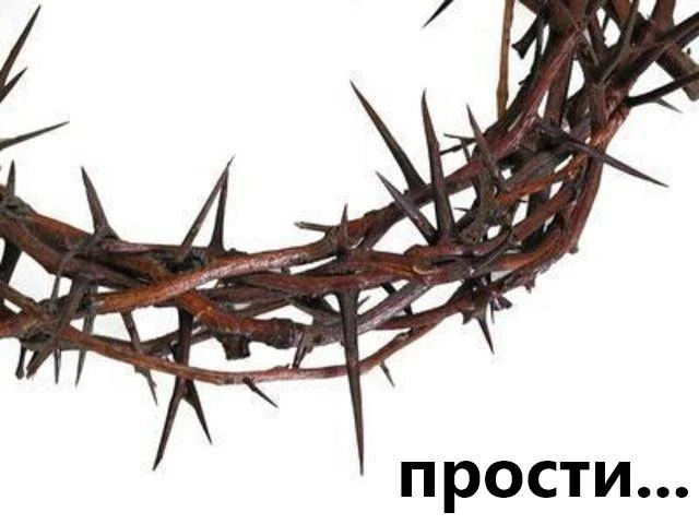Цель жизни