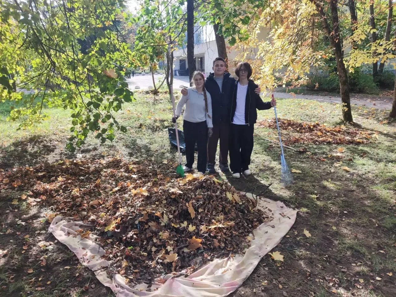 Чисто там, где убирают! 🍁