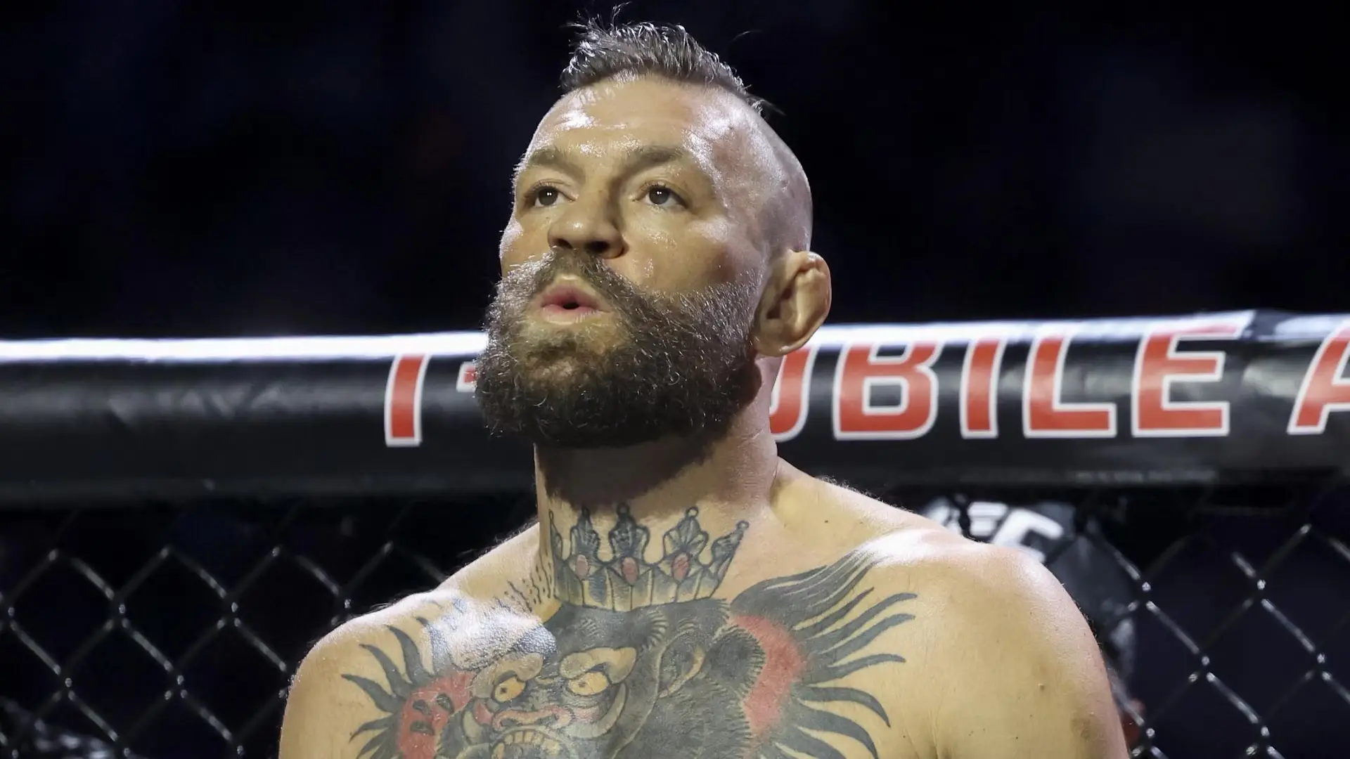 🥊 Возвращение Конора Макгрегора на UFC 329: поражение и требование пересмотреть результат