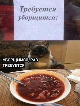 🤣 #юмор