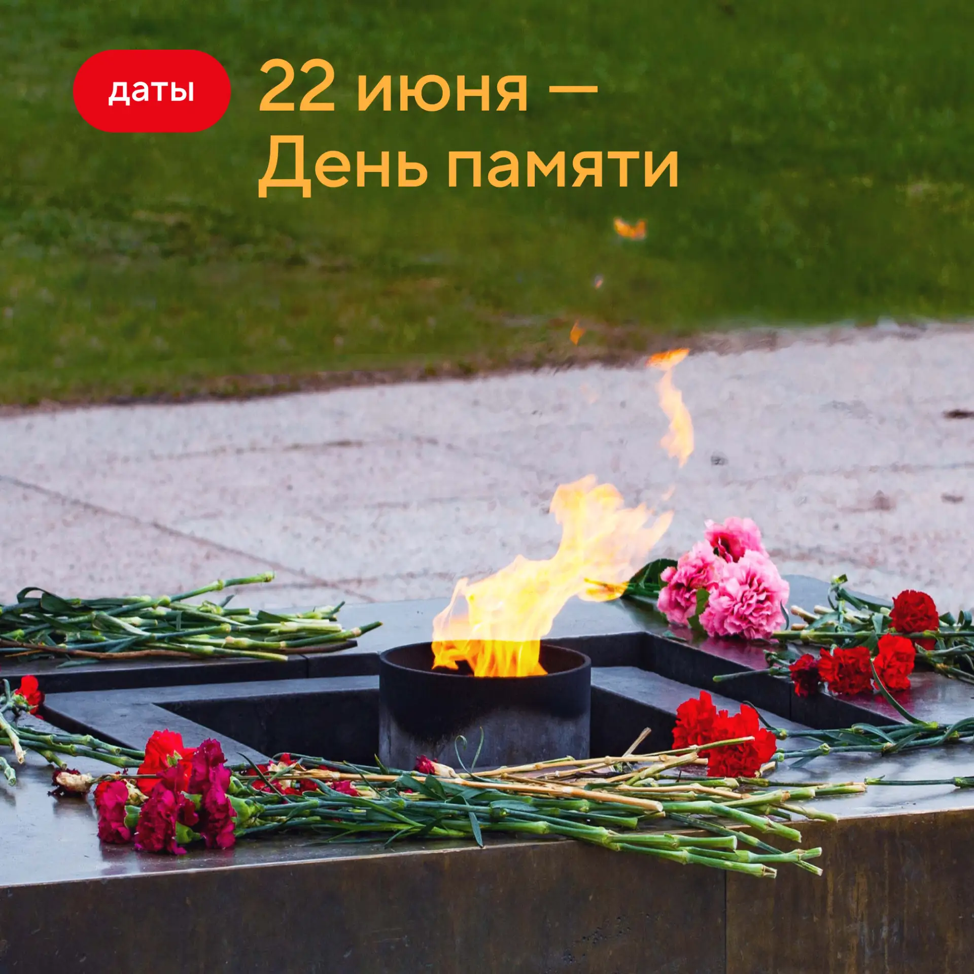 22 июня 1941 года началась Великая Отечественная война. Предрассветная тишина раскололась взрывами, 