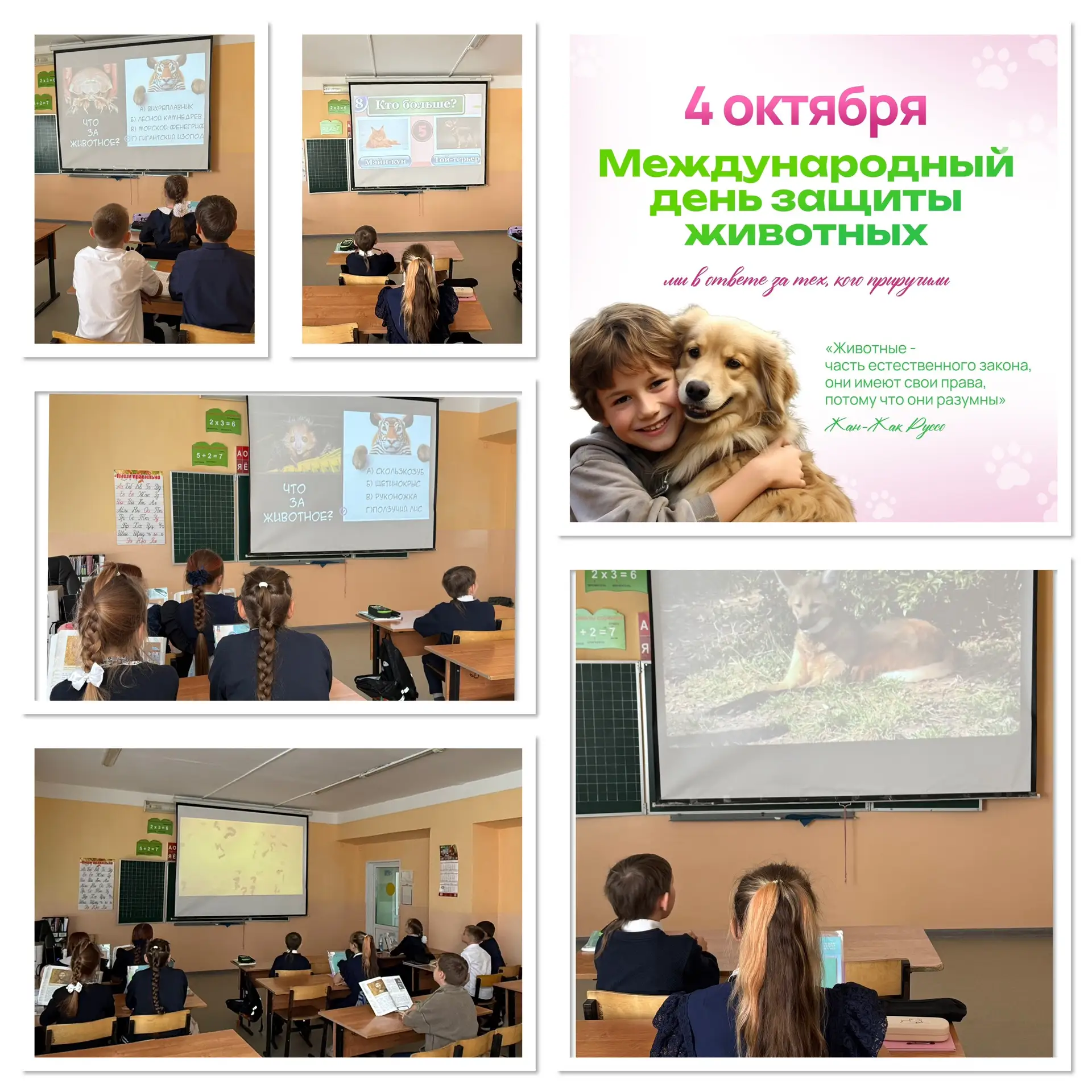 📅 4 октября - Всемирный день защиты животных.