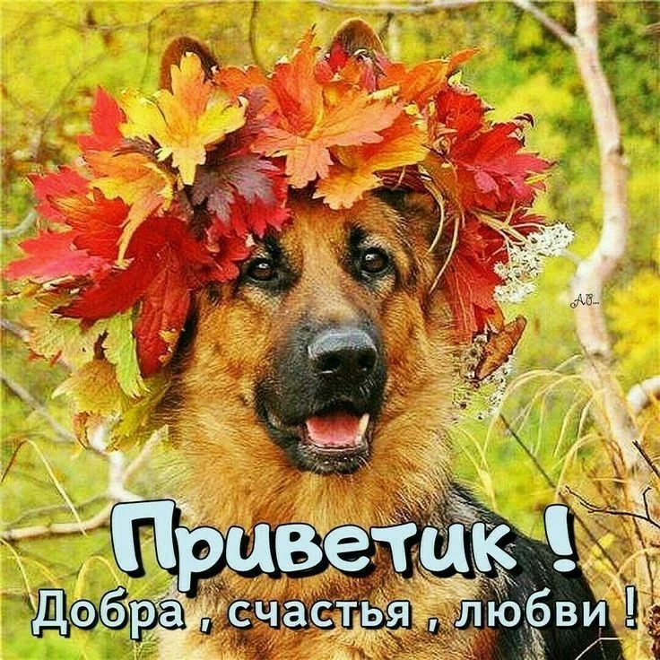 🎉Подписаться на Привет Пипл!