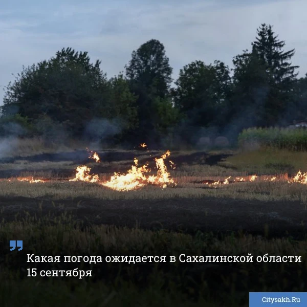 😨 Синоптики предупреждают жителей южной оконечности острова Сахалин о повышенной опасн...