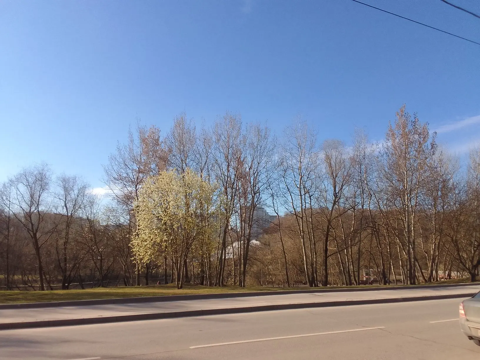 Утренние фото.