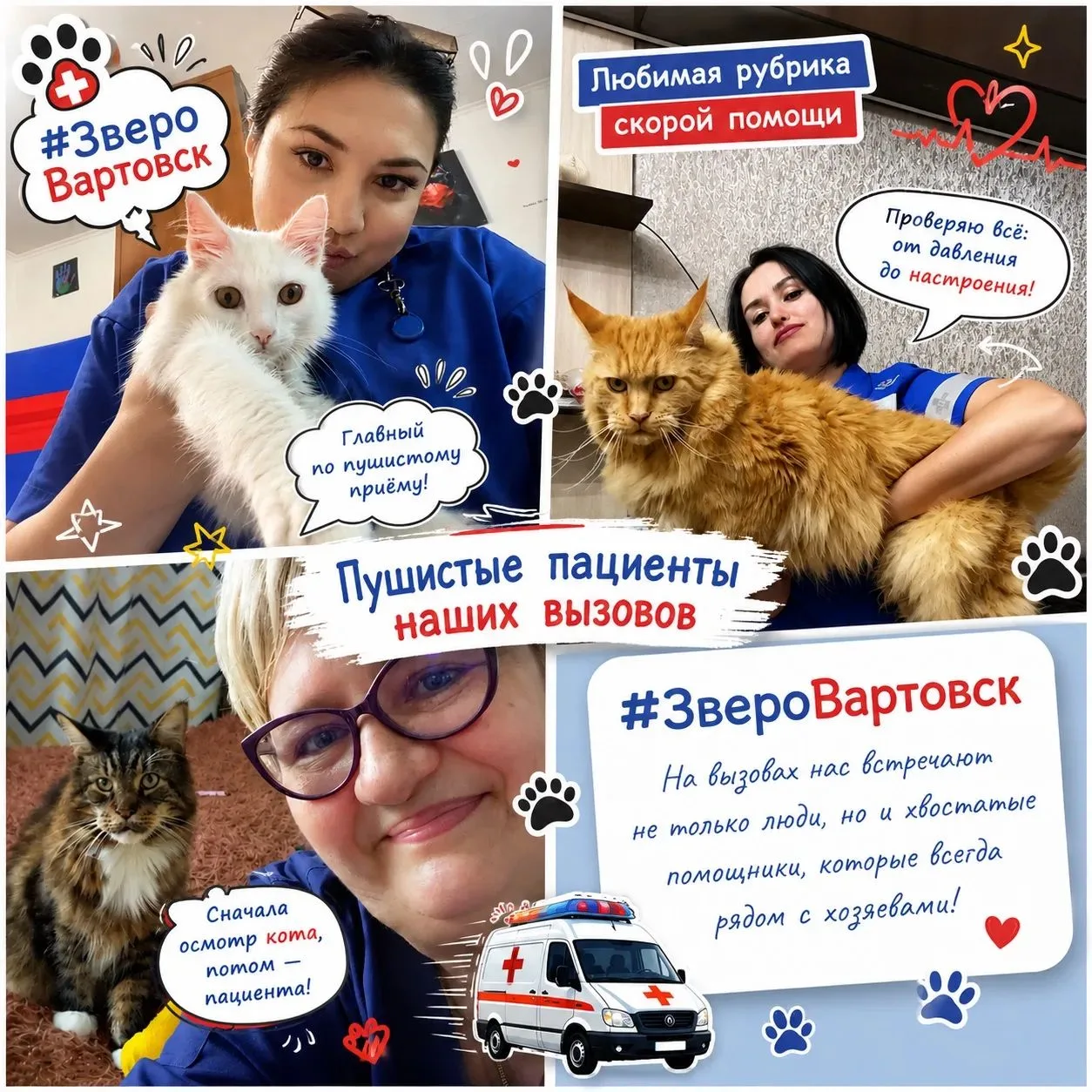 🚑 Кто-то встречает нас у двери, кто-то наблюдает с дивана, а кто-то сразу приходит зна...