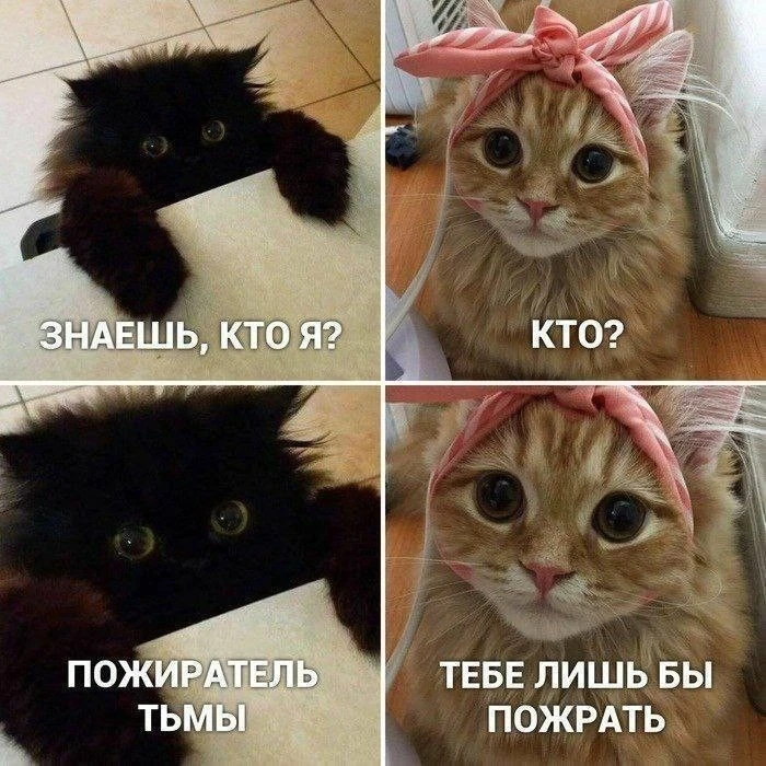 Подпишись, чтобы не потерять👇
Тёплый гусь• Юмор