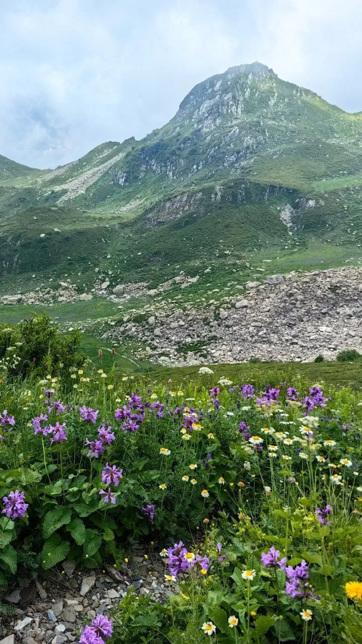 🏔 Гора Ачишхо