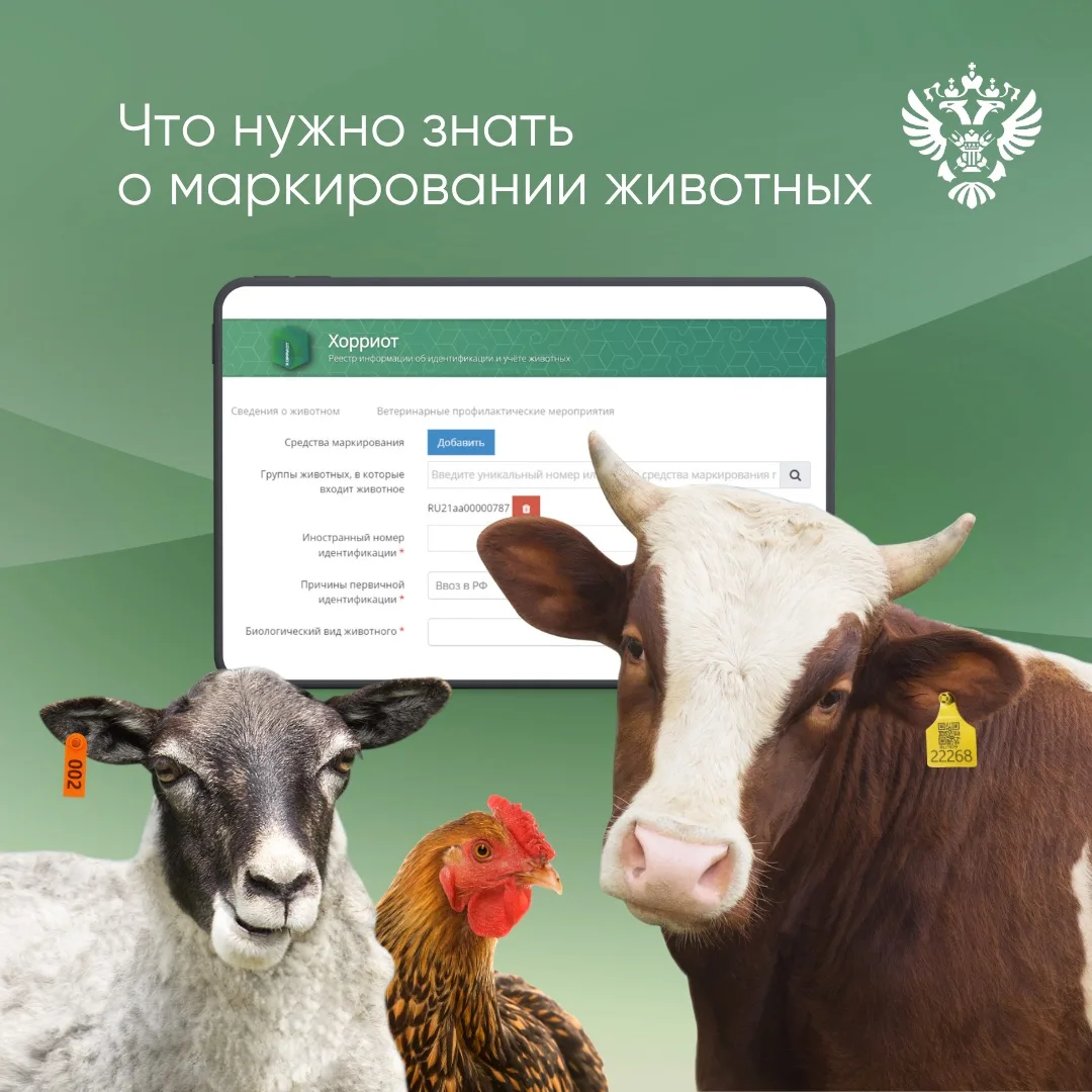 📄Друзья, ранее мы публиковали подробную инструкцию по регистрации сельскохозяйственных животных и п