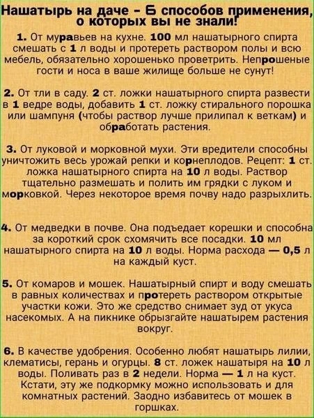 HAШATЫРЬ HA ДAЧE!👍

НАШИ КАНАЛЫ:
Идеи для дачи
Моя любимая дача
Дачные заготовки
Открытки на праздн
