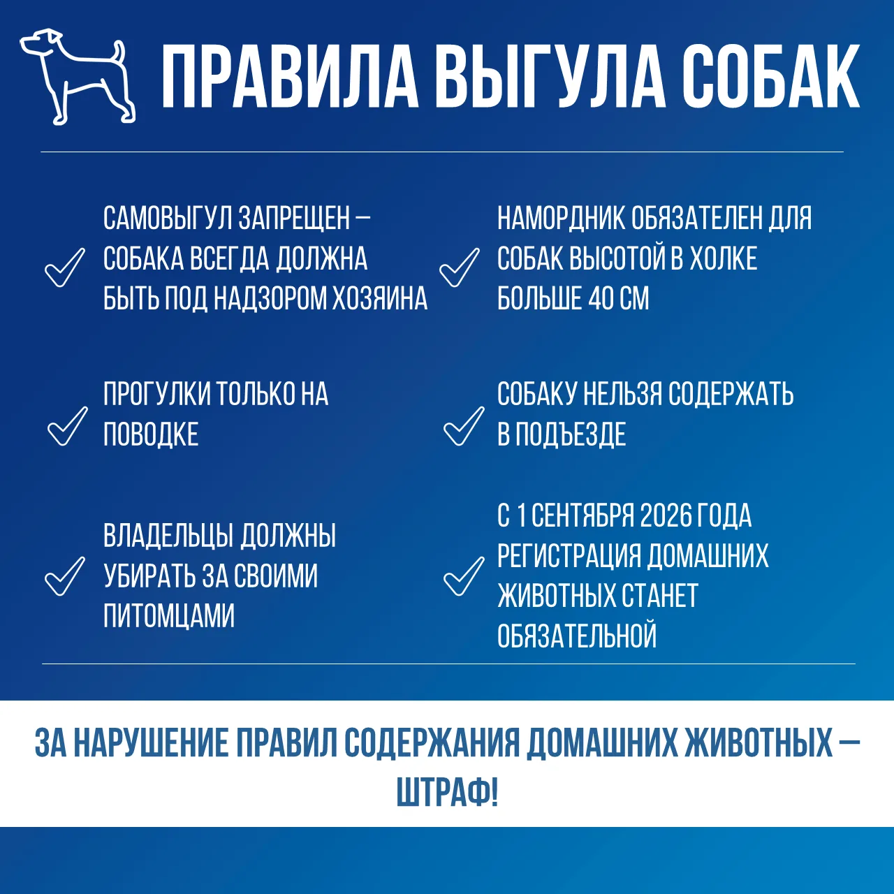 📍 Напоминаем владельцам о правилах выгула