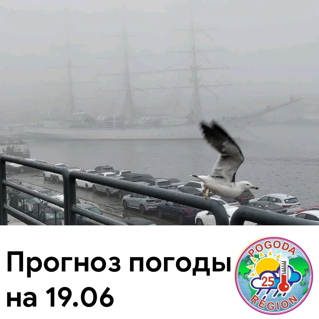 🐯 Еще одного Амурского тигра из Приморья отправят в зоопарк.