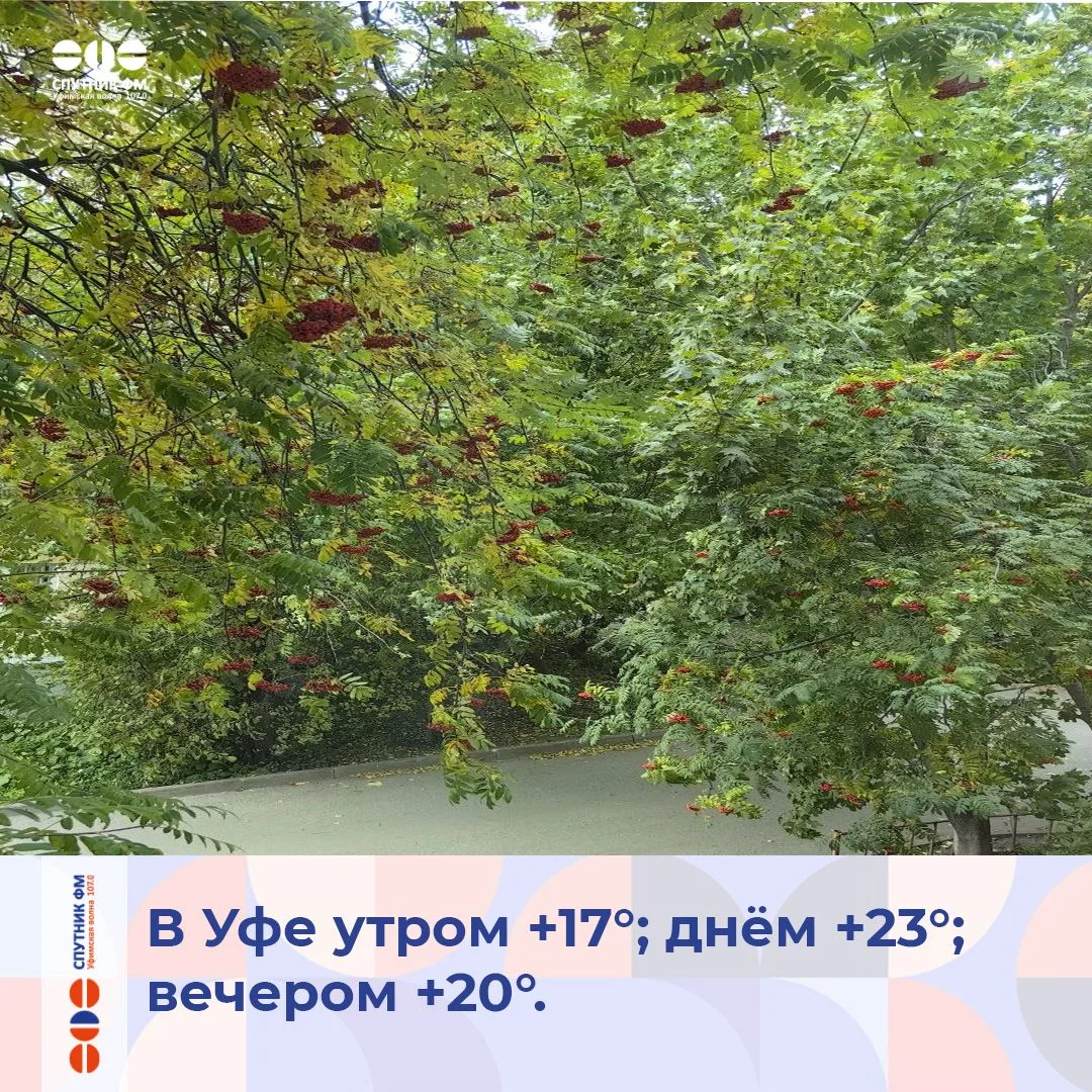 Сегодня День рассказывания историй о летних путешествиях, Праздник барабанщиков и День ...