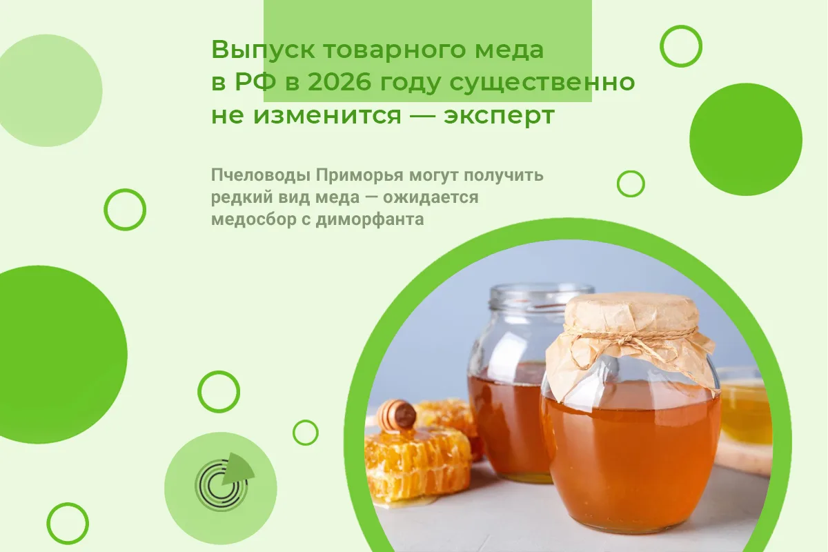 ВЫПУСК ТОВАРНОГО МЕДА В РФ В 2026 ГОДУ СУЩЕСТВЕННО НЕ ИЗМЕНИТСЯ — ЭКСПЕРТ