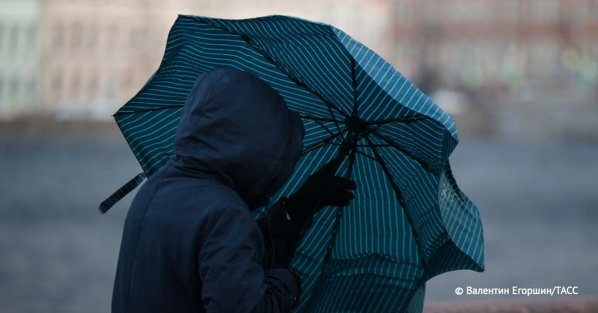 Сильный ветер и подъем уровня воды в Неве ожидаются 6 октября в Петербурге, сообщил гла...