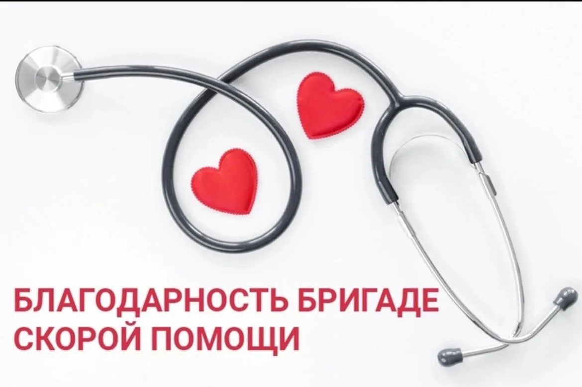 Благодарность бригаде Карпогорской подстанции скорой медицинской помощи № 51 в составе ...