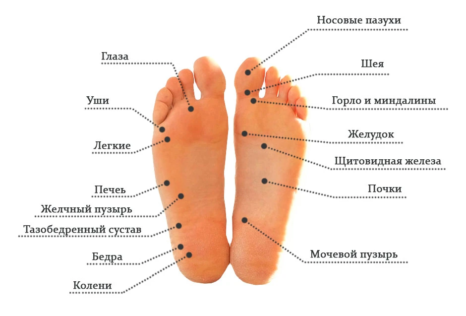 Топ-топ по траве: почему босиком — это полезно? 
👣 естественное закаливание

Вы замечали, как дети 