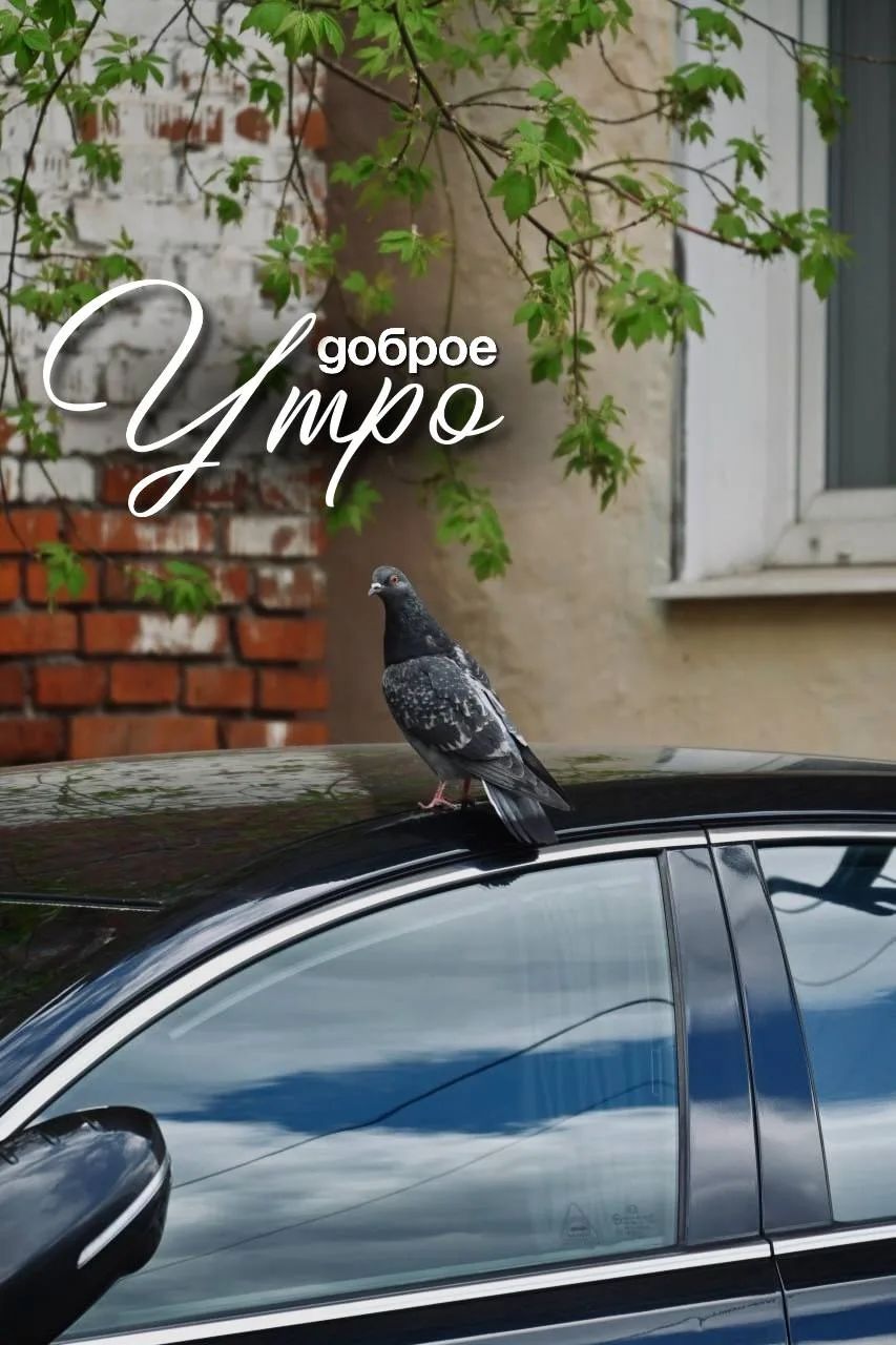 Доброе утро, друзья!❤️