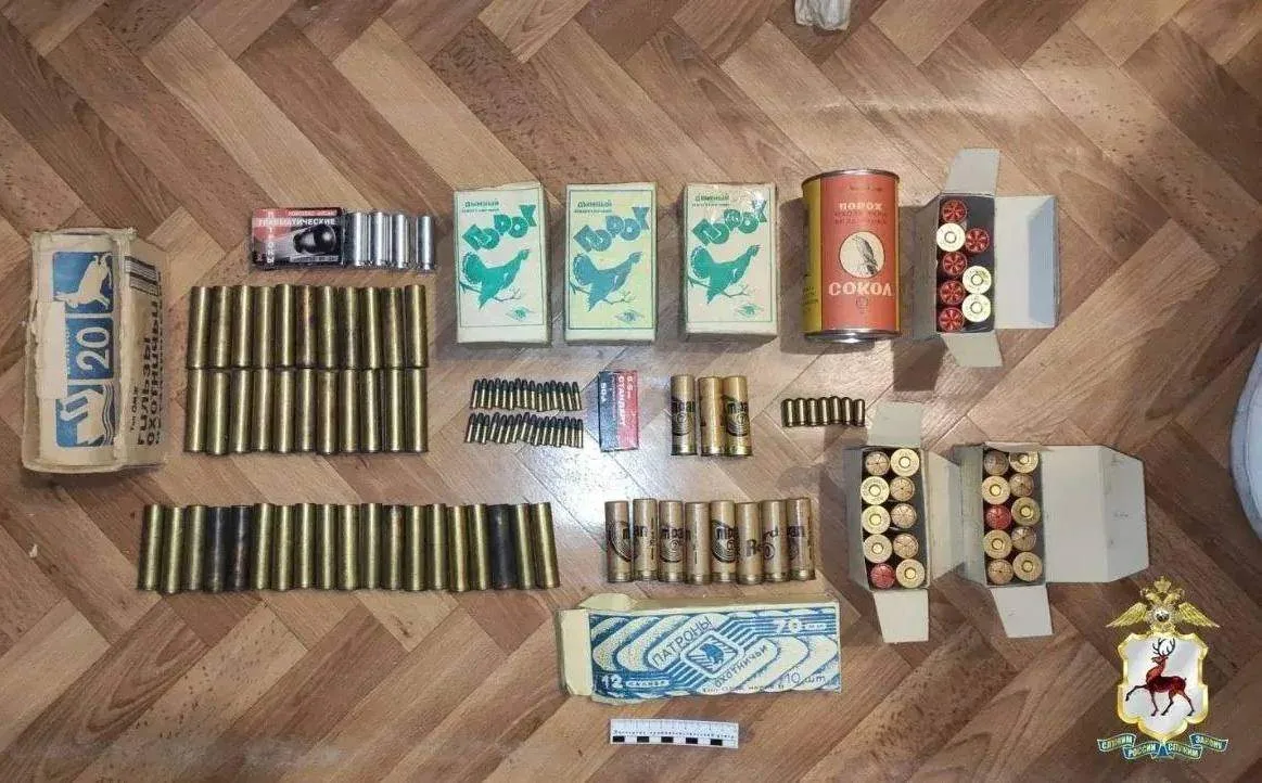 🔪 У нижегородского доцента нашли целый арсенал дома