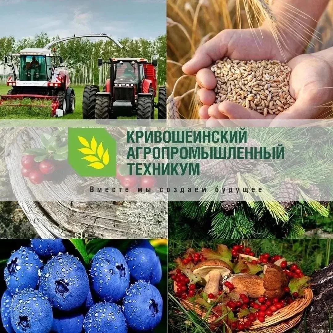 Стань студентом! 

Чтобы стать студентом Кривошеинского агропромышленного техникума, действуйте так: