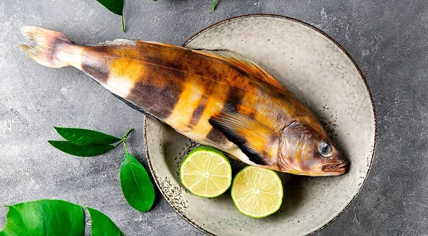 🐟 ТЕРПУГ СВЕЖЕМОРОЖЕНЫЙ — СИЛА СЕВЕРНЫХ МОРЕЙ ❄️

Плотное, белое, упругое мясо — терпуга любят за е