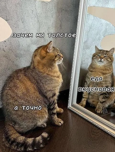 Не понимаю, ничего такого не ем, но опять набрала😭

Давненько я не вел эфиров. Планирую на выходных