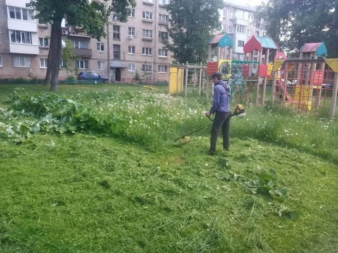 🏡 О выполненных работах по благоустройству 25.05.26 по адресу Курковая 9, Курковая 16,...