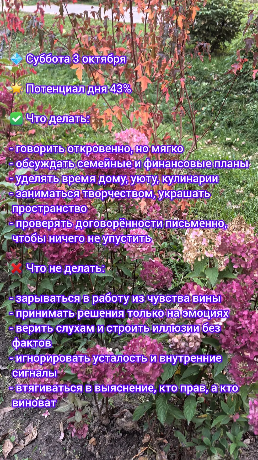🥳 Прогноз дня на 3 октября