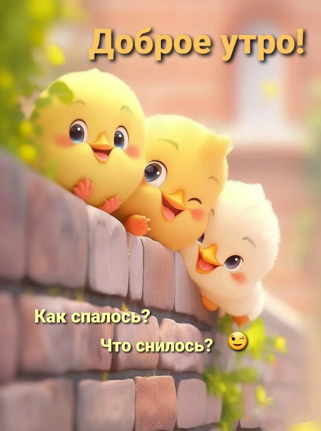 открытки💌подписаться
#доброеутро