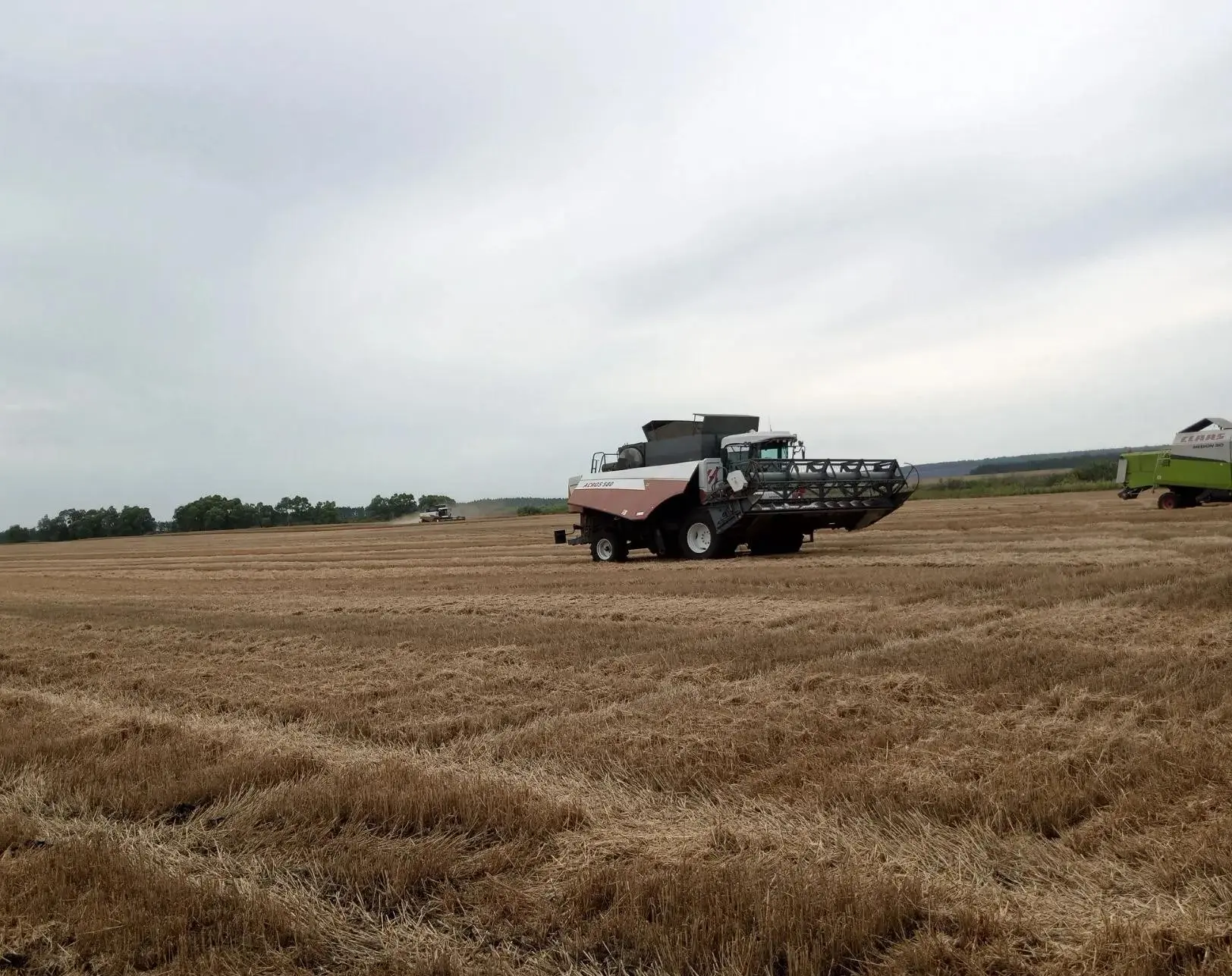 🌾 Ход уборочной кампании в Майнском районе